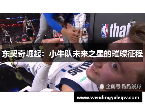 东契奇崛起：小牛队未来之星的璀璨征程